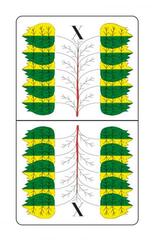 Karte 18 von 32 Preference Deutsches Blatt, Karte 18 von 32
