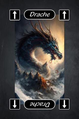 Karte 10 von 71 Wizzard Karten Jubiläums Edition, Karte 10 von 71