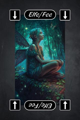 Karte 11 von 71 Wizzard Karten Jubiläums Edition, Karte 11 von 71