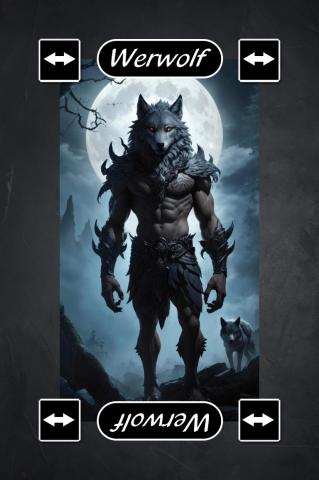 Karte 13 von 71 Wizzard Karten Jubiläums Edition, Karte 13 von 71